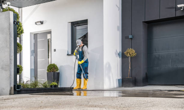 Best Pre-Holiday Cleaning  in Columbia, IL